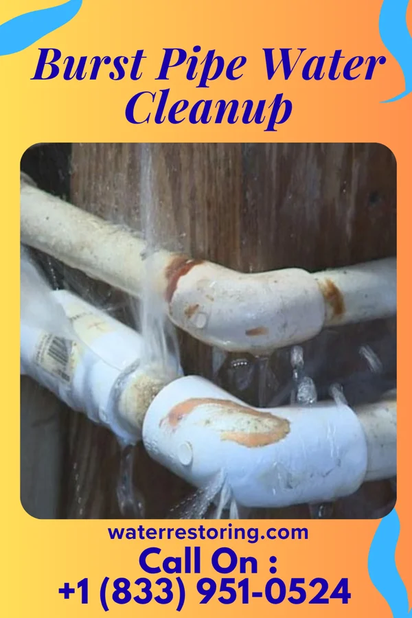 Burst Pipe Water Cleanup in Macon, IL