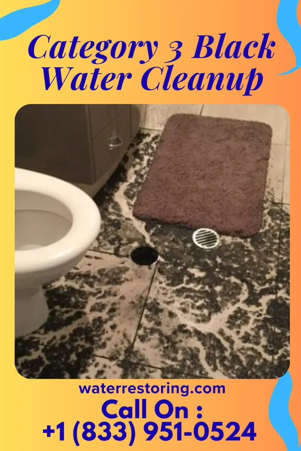 Category 3 Black Water Cleanup in Macon, IL