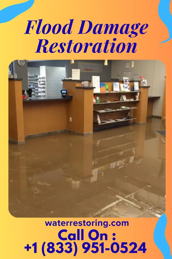 Flood Damage Restoration in Macon, IL