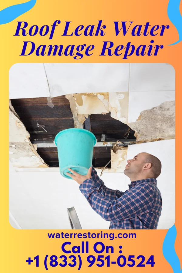 Roof Leak Water Damage Repair in Macon, IL