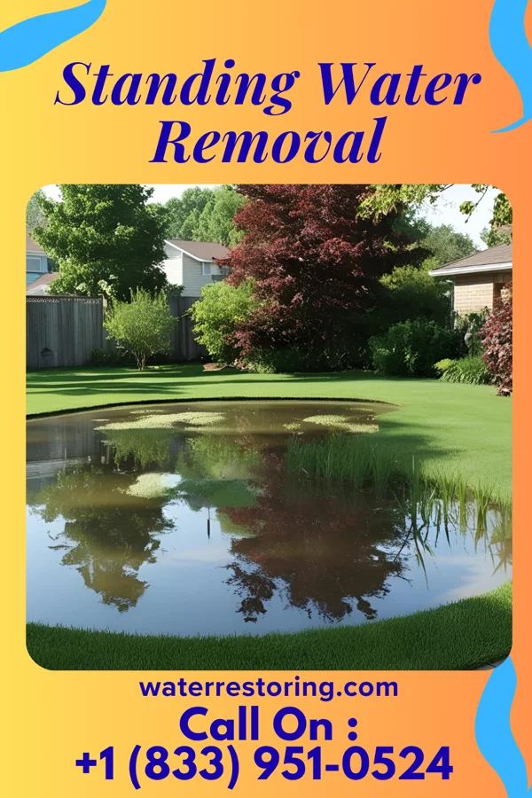 Standing Water Removal in Macon, IL